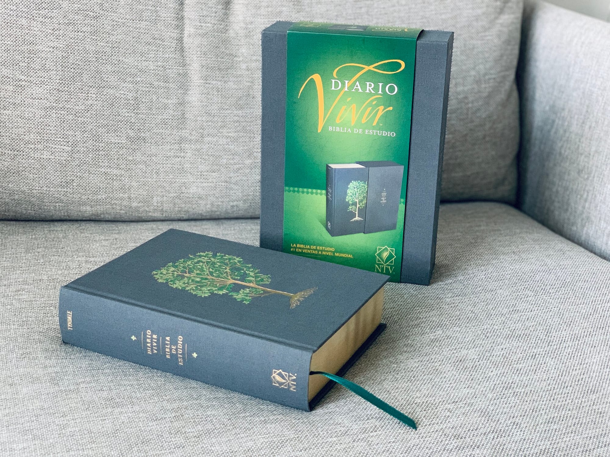Biblia de Estudio Diario Vivir
